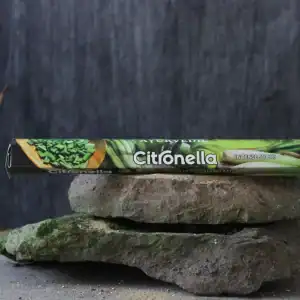 citronella incense