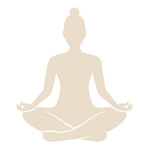 Chakra body