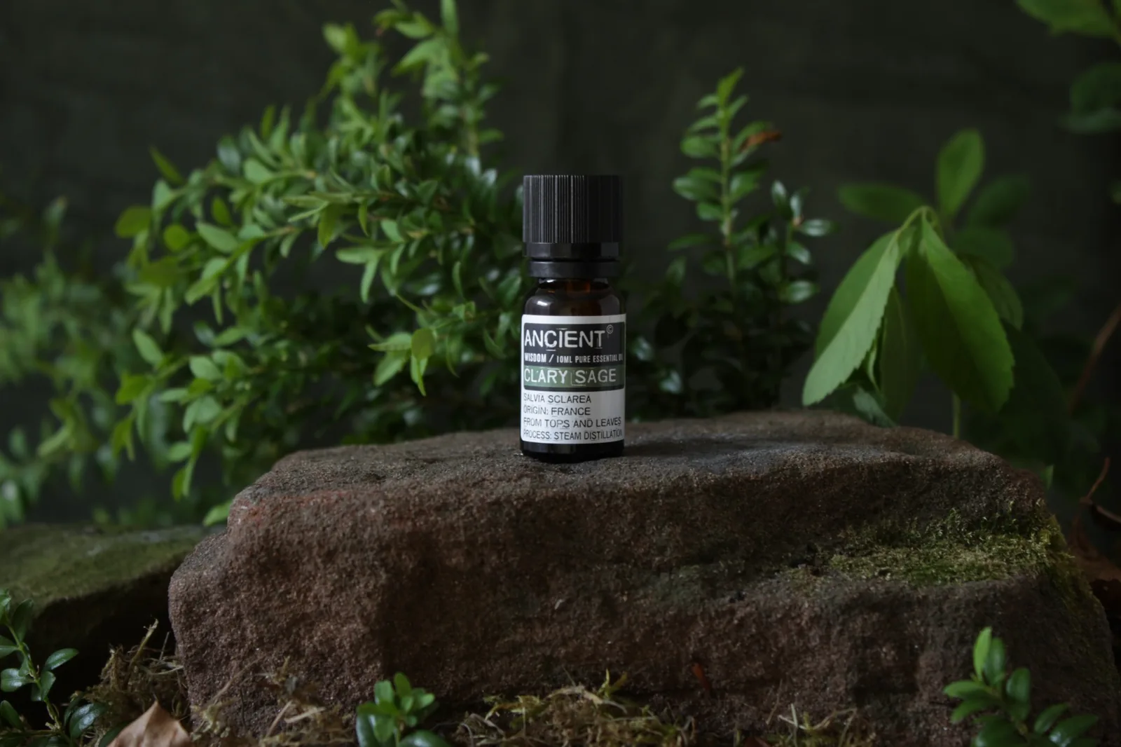 clary sage oil