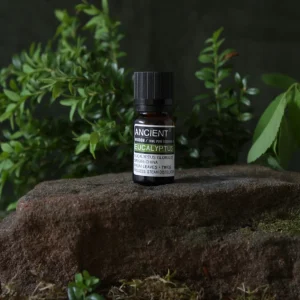 eucalyptus-oil
