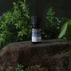 lavender oil