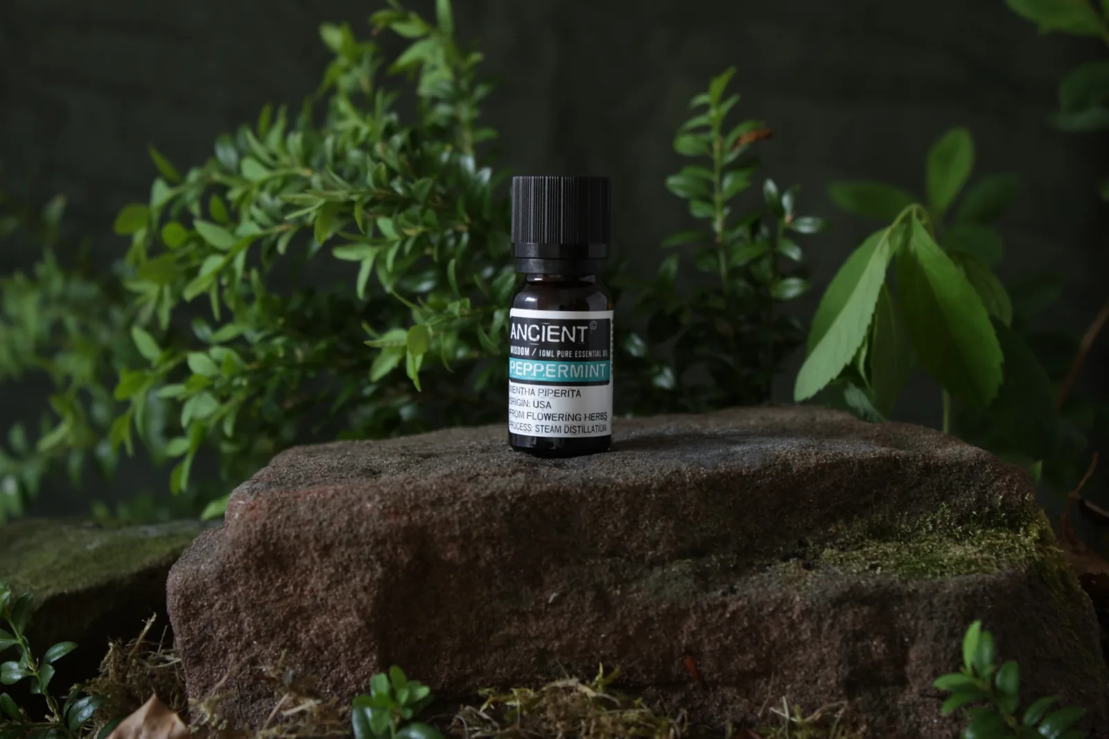 peppermint oil